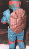 Turtle2.jpg (144030 bytes)