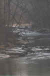 nature.jpg (144545 bytes)